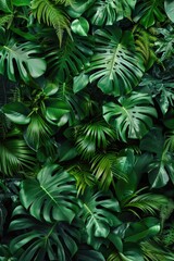 Wall covered with lush green leaves