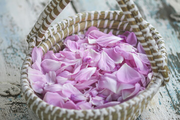 Pink rose flower petals for herbal tea or cosmetic products.