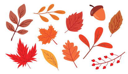 Fototapeta premium Set of autumn leaves on a white background.