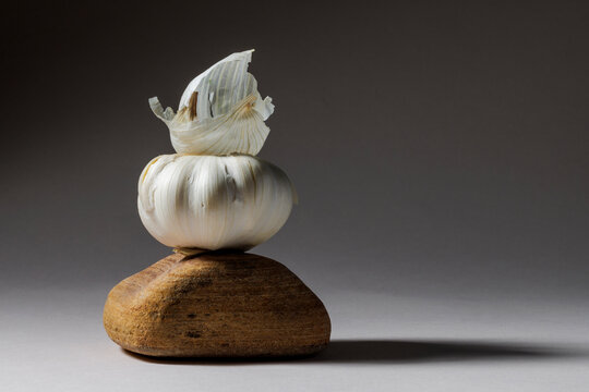Stilllife 