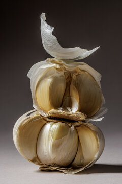 Stilllife 