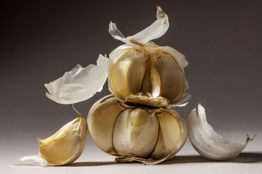 Stilllife 