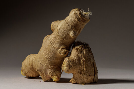 Ginger