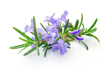 Naklejka premium A bouquet of vibrant purple flowers sits atop a clean white surface, ready for display or arrangement
