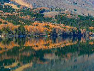 紅葉した青木湖　リフレクション　長野県大町市