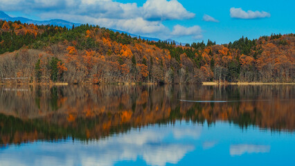 紅葉した青木湖　リフレクション　長野県大町市
