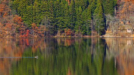 紅葉した青木湖　リフレクション　長野県大町市