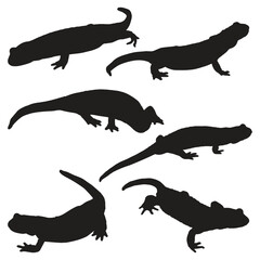 Salamander Silhouette Vector Illustration Bundle