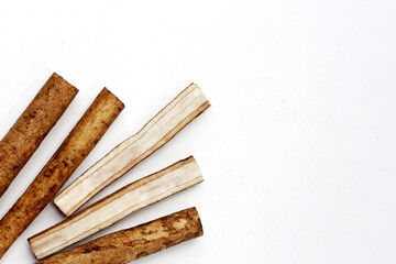 Burdock Root (Gobo) on white background.