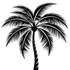 Coconut tree 