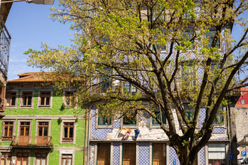 Vibrant building fronts in Porto