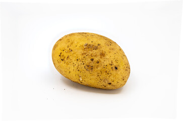 Fresh Raw Potato on White Background