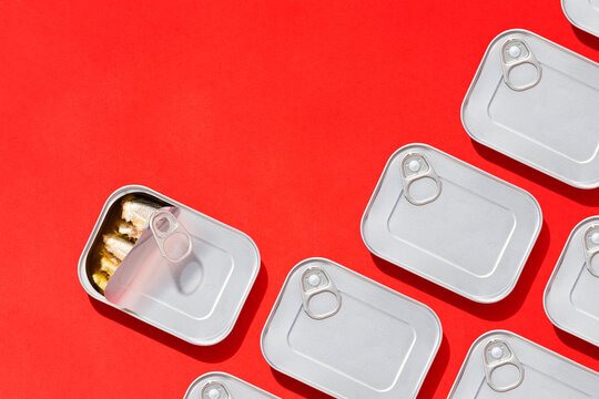 Canned sardines among rectangular tins flat lay on red background