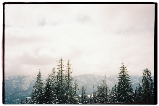 View of the Tatra mountains from Zakopand in Poland