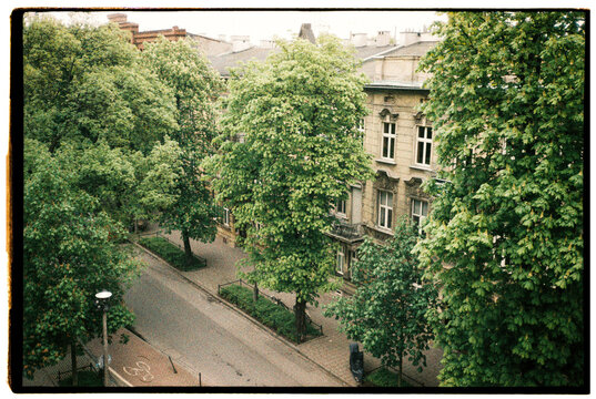 A leafy street in Krakow, Poland.