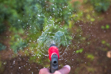 Water the vegetables