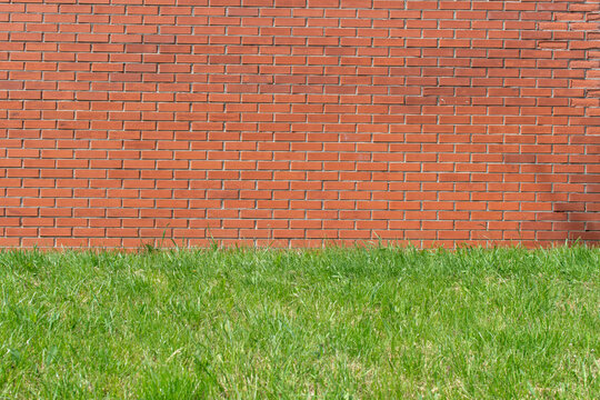 Brick wall and green grass