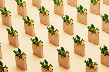 Shopping bags groceries / food