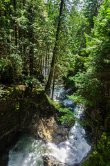 Obraz premium Downstream water from the Cascade Falls located Northeast of Mission, British Columbia, Canada