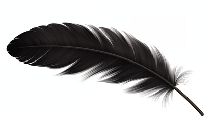 Fototapeta premium black feather isolated on white background