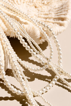 sea coral shells and pearl necklace on a light background.