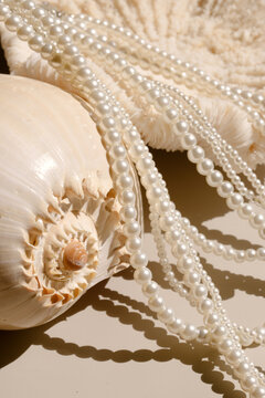 sea coral shells and pearl necklace on a light background.