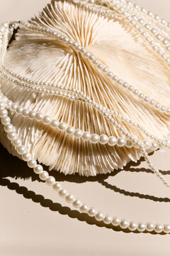 sea coral shells and pearl necklace on a light background.