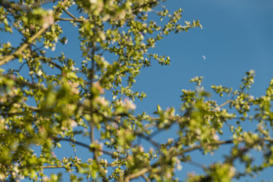 Spring Pattern Texture Minimalistic View 