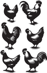 set of chicken