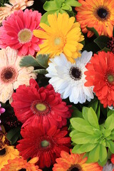 Gerbera bouquet