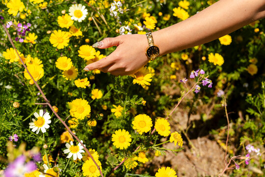 Woman wearing gold watch spring season