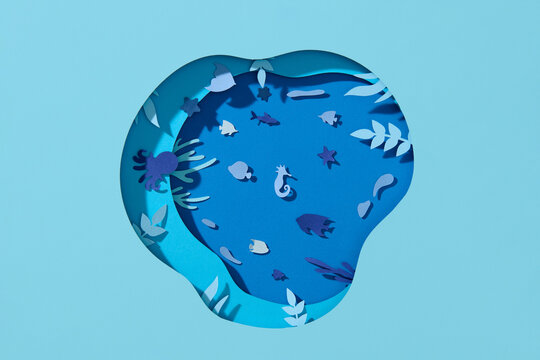 The paper cut with the starfish, sea horse, and the fishes in ocean