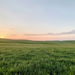 Obraz premium Peaceful sunset over a vast green field with a gentle breeze and rolling hills in the distance.