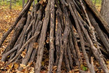 Fototapeta premium Handmade forest shelter constructed with sticks - nestled among trees - autumnal woodland setting - carpeted with fallen leaves. Taken in Toronto, Canada.