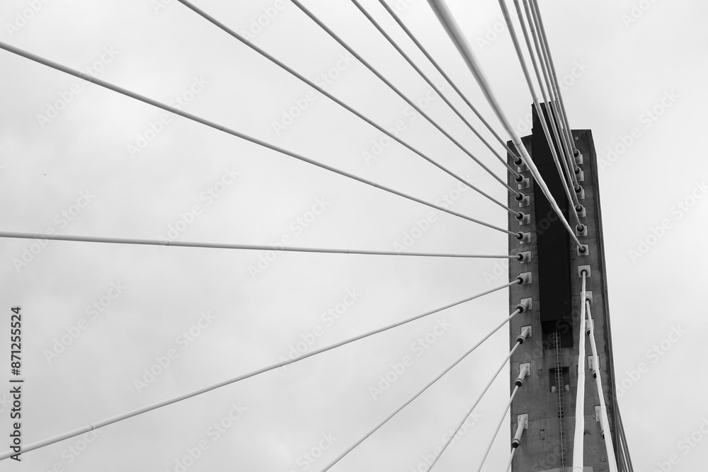 Wall mural Bridge pillar and the steel cables