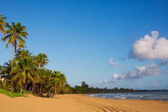 Beach Near Luquillo