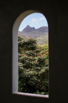 Yokah&uacute; Tower, El Yunque National Forest
