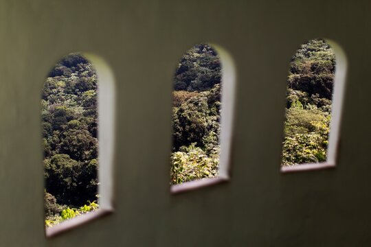 Yokah&uacute; Tower - El Yunque National Forest