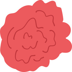 Flower Illustration. Spring flower.