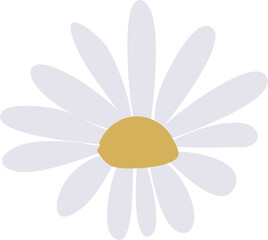 Flower Illustration. Spring flower.