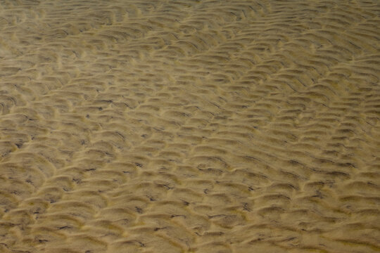 Sand texture in the bottom of a lagoon