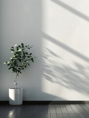 a white horizontal frame with a small plant in frame and a black floor, in the style of use of screen tones