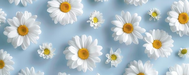 Daisies on a light blue background, floral pattern. Spring and freshness concept