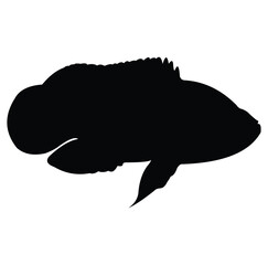 Oscar fish silhouette vector design. black and white.