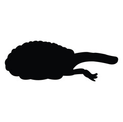 tadpole silhouette vector design. black and white.