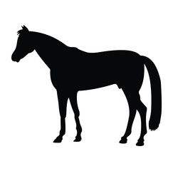 horse silhouette vector design. black and white.