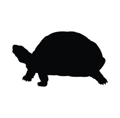 turtle silhouette vector design. black and white.
