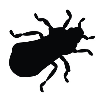 recommend clip art: cockroach silhouette vector design. black and white.