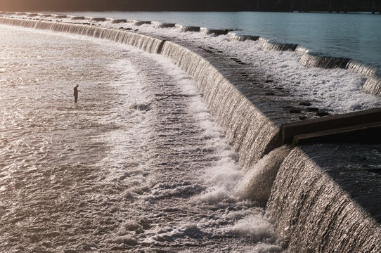 The Fisherman