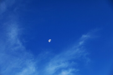 明け方の空に残る月と雲